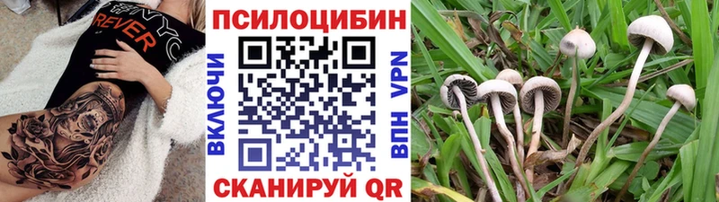 где продают наркотики  Пучеж  Галлюциногенные грибы прущие грибы 